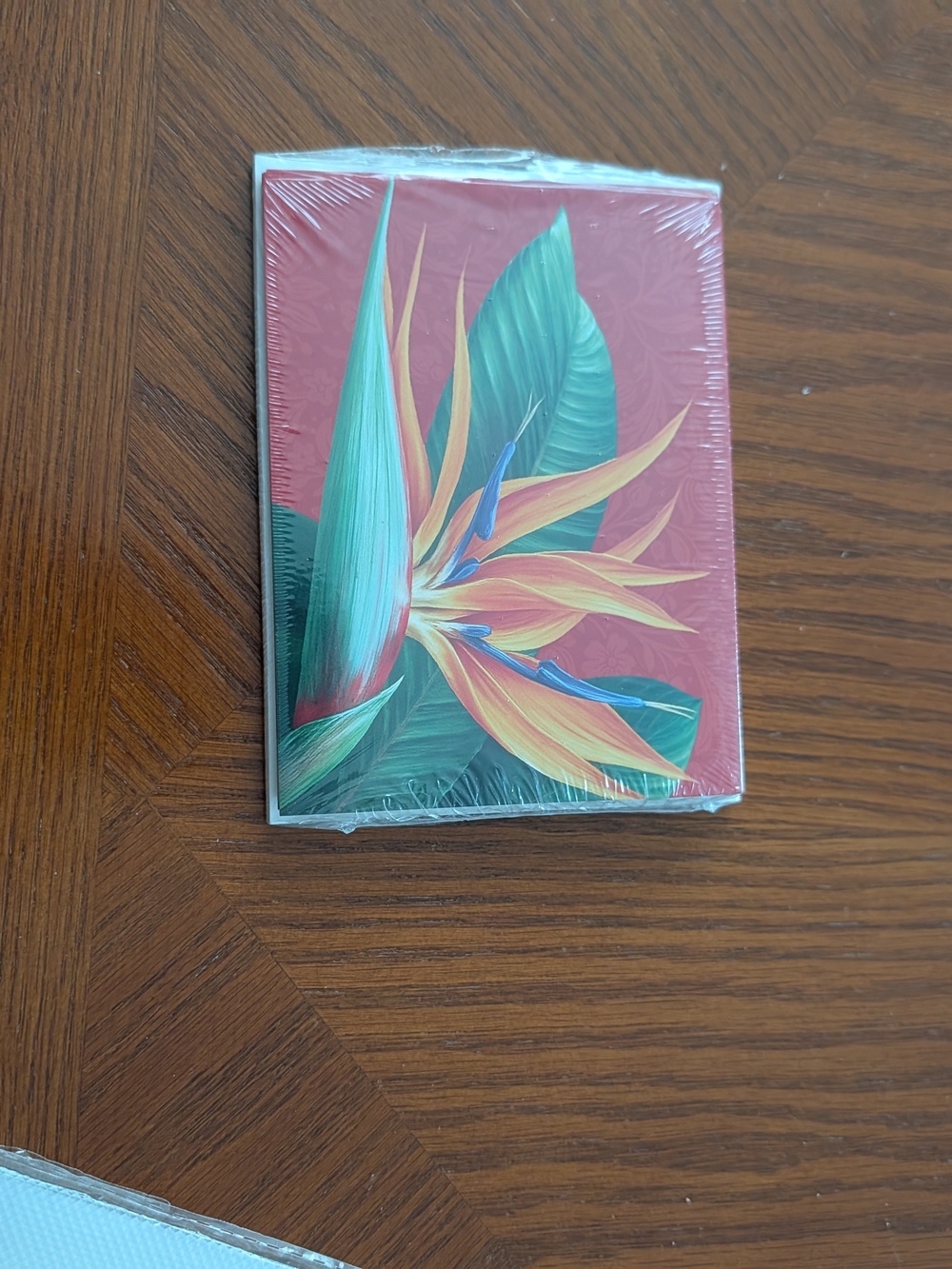 MAKE AN OFFER! Tropical Bird of Paradise Greeting Card - Brand New